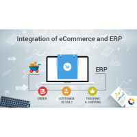 ERP Software & Ecommerce Integrated