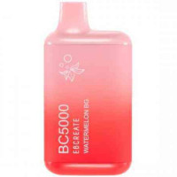 BC5000 Disposable Vape