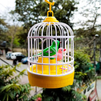 Cute Talking Birds with Mini Bird Cage