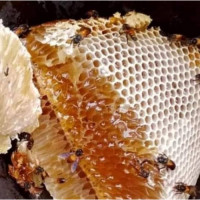 Organic Honey