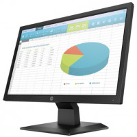 HP P204 19.5-Inch LED Monitor