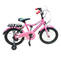 Meghna Seventy-One Ladies Bicycle for Girls