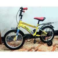 Stroke Master Chinese Kids Bicycle