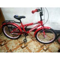 Penny Chinese Baby Bicycle