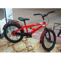 Phoenix 20-Inch Baby Bicycle with Carrier