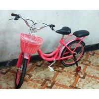 Phoenix 20" Ladies Baby Bicycle