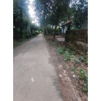 2.5-Katha Land Sale at Harbaid Village Area Gazipur