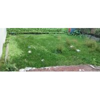 5-Sotok Land Sale at Rangpur Sadar